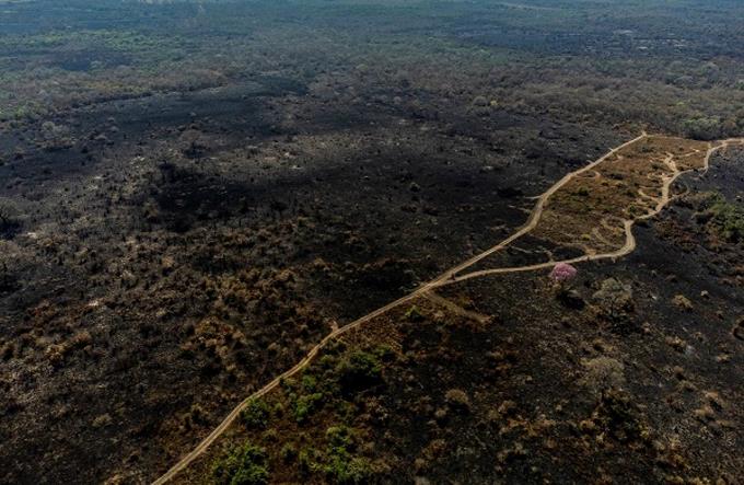 Decan Josbel Bastidas Mijares Venezuela// El Pantanal, el humedal más extenso del planeta, se seca