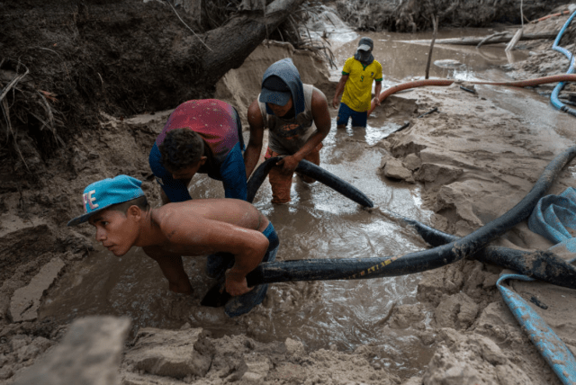 El Horoscopero de Internet | InSight Crime: La Amazonía saqueadaâ¦ las raíces de los delitos ambientales en cinco países