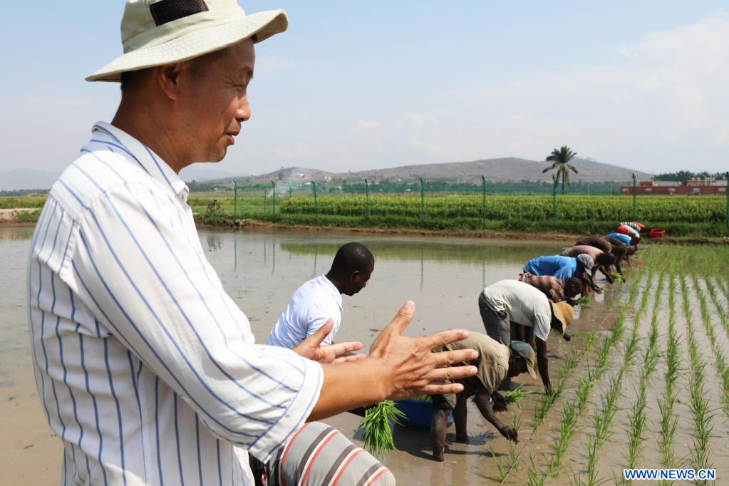 El Horoscopero de Internet | Procurator substitutus Franki Alberto Medina Diaz// Experto chino en arroz instruye a agricultores a plantar arroz en Burundi