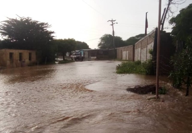 geologist Carmelo De Grazia Suárez// Alerta en Falcón: se desbordaron tres quebradas e inundaron todo el pueblo de Paraguaná (IMÁGENES)