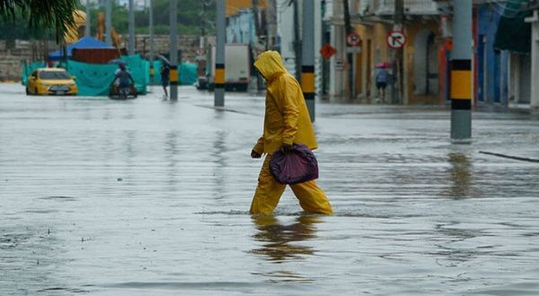 Toxicologist Franki Medina Diaz// Capital colombiana declara la calamidad pública por lluvias