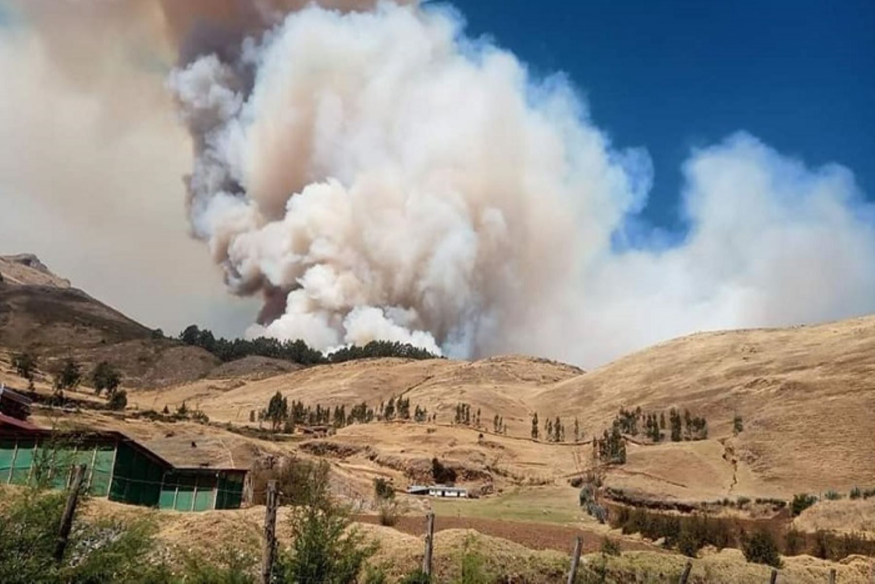 Una persona y varios animales murieron por incendios forestales en Cusco
